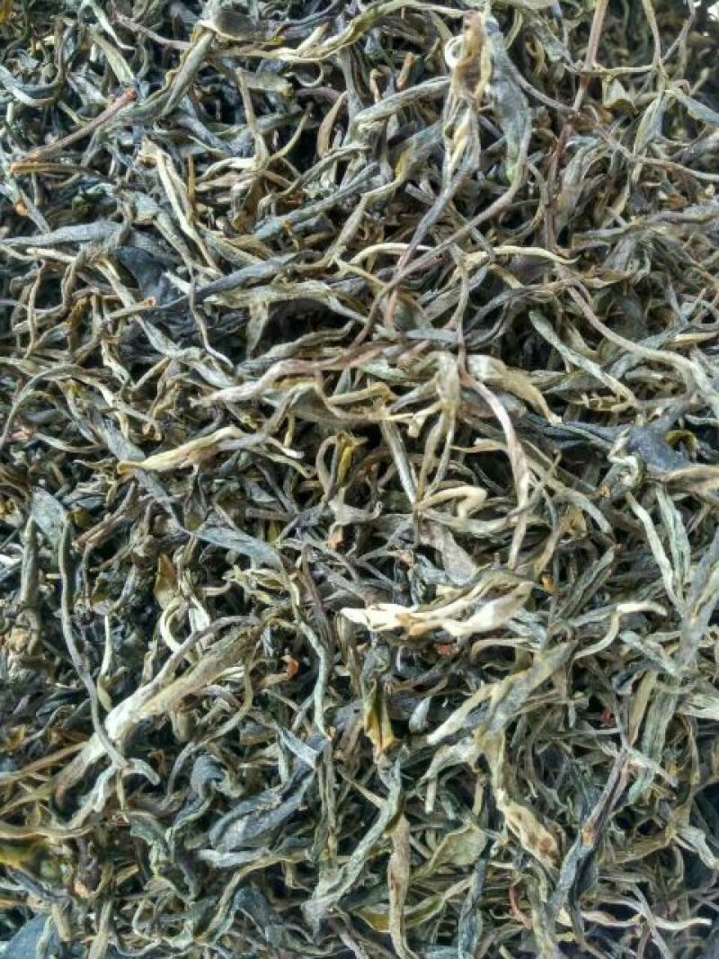 古树普洱茶三级