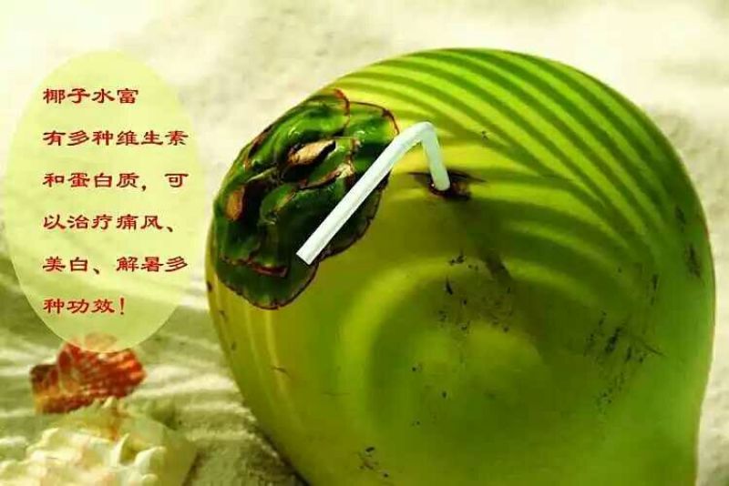 椰子5~6斤