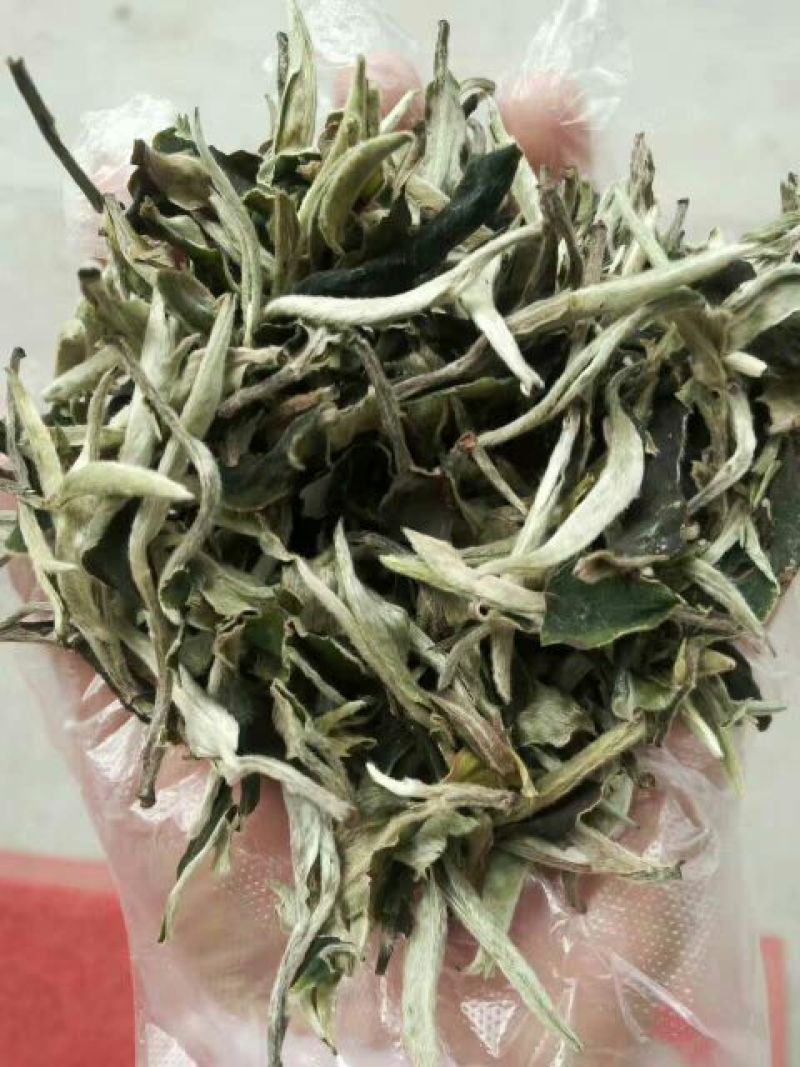 古树茶二级