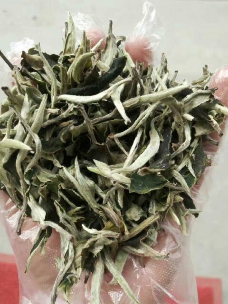 古树茶二级
