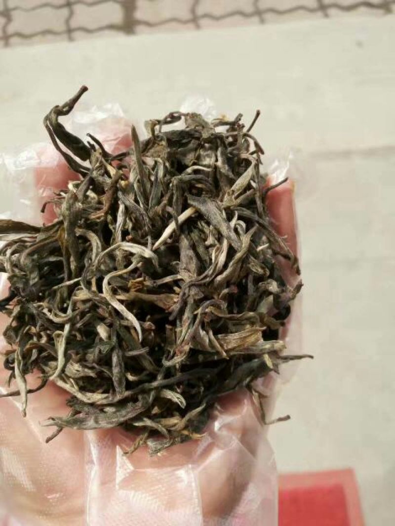 古树茶二级