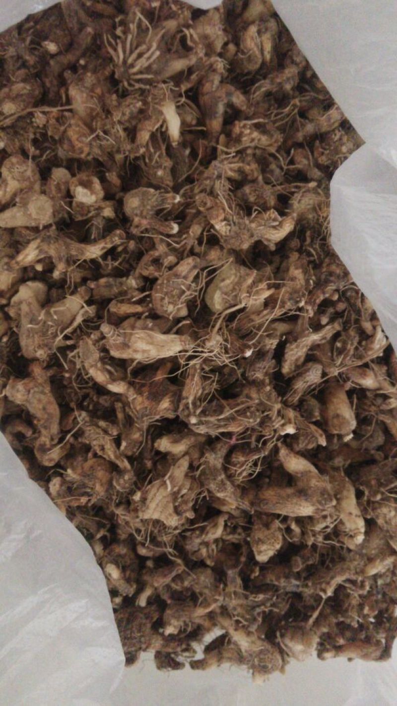 白芨统货