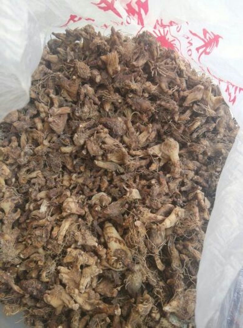 白芨统货