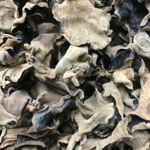 干木耳一级