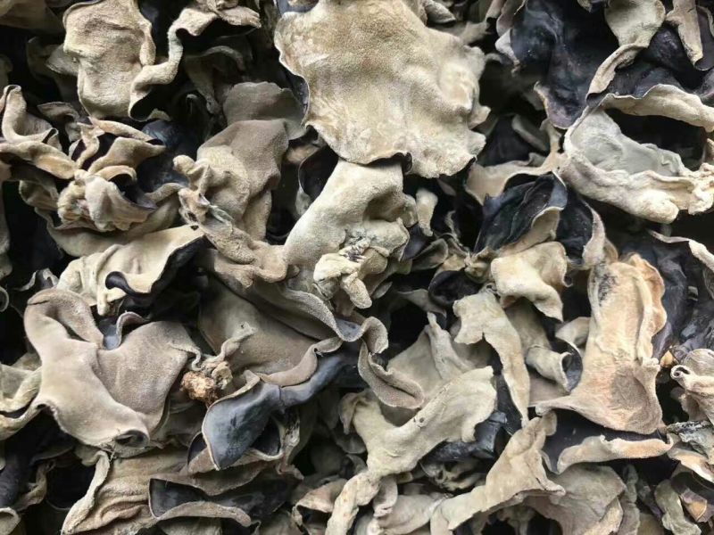 干木耳一级