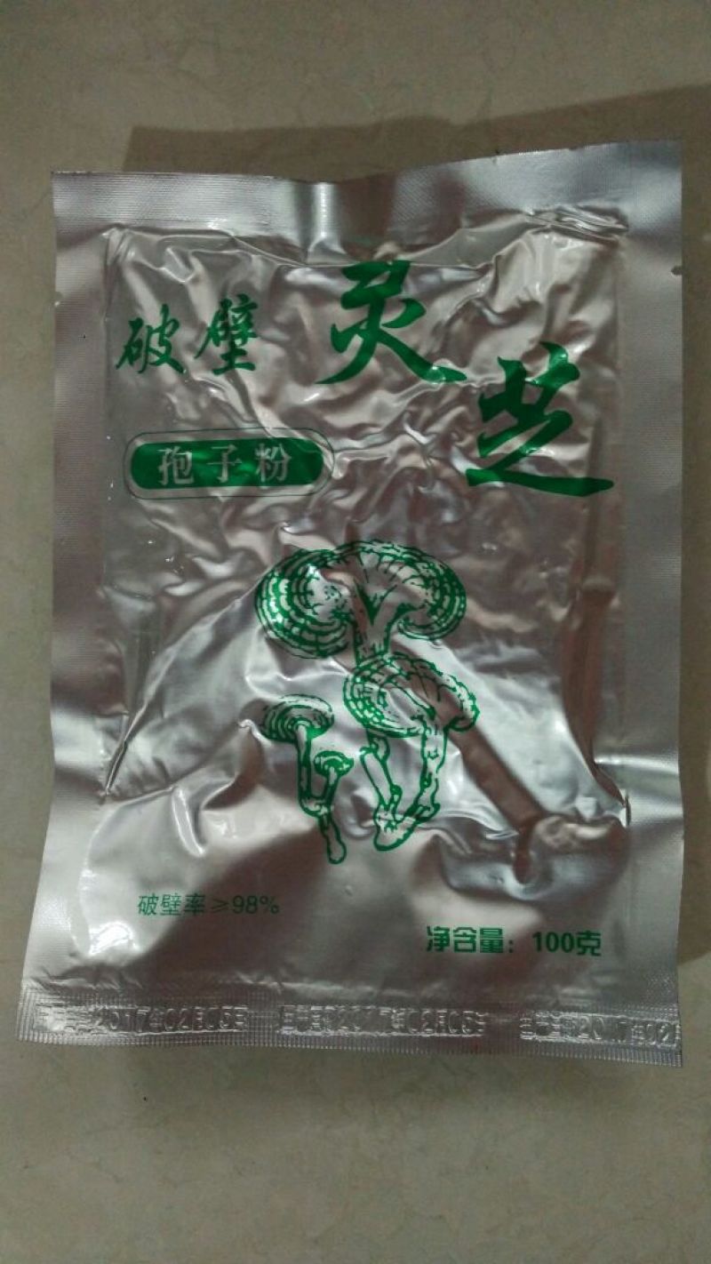 灵芝8~12公分