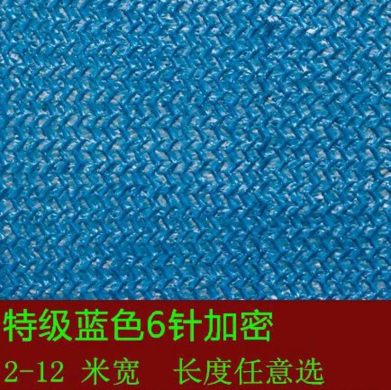 遮阳网扁丝网
