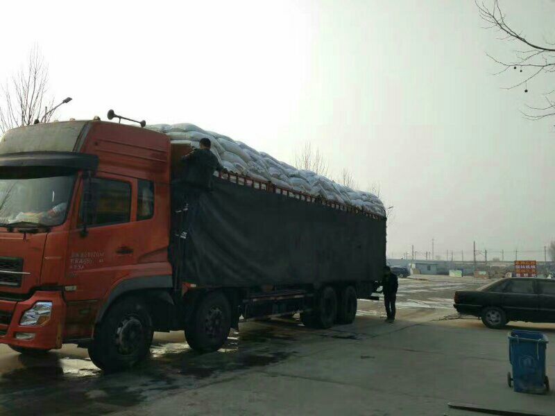 高羊茅草种98%以上