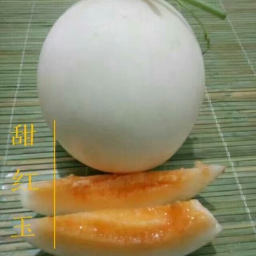 山东菏泽单县香瓜基地，诚信代办，全国代发。
