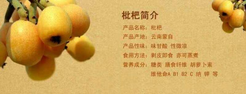 大五星枇杷蒙自枇杷迷你果