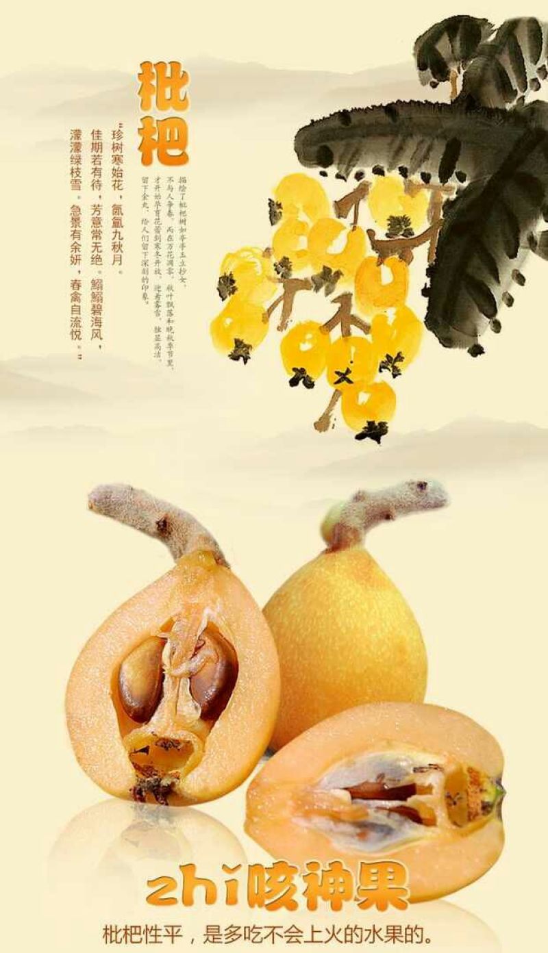 大五星枇杷蒙自枇杷迷你果