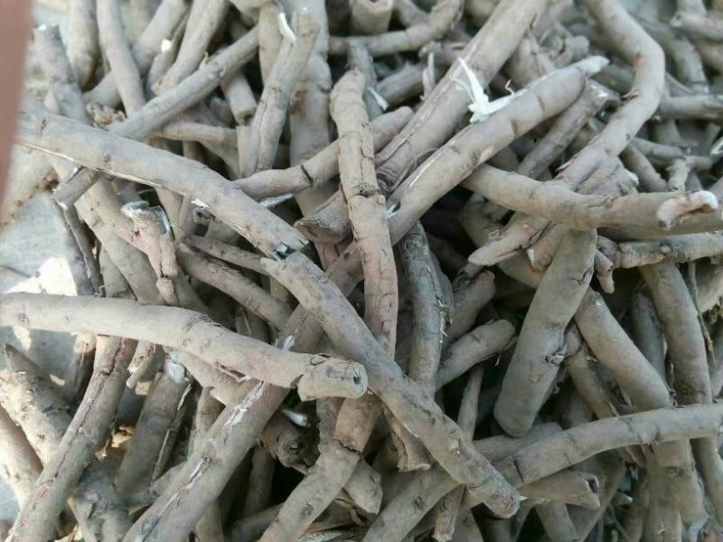 牡丹皮黑丹皮牡丹皮连丹皮大货产地直销凤丹无硫手工去木芯