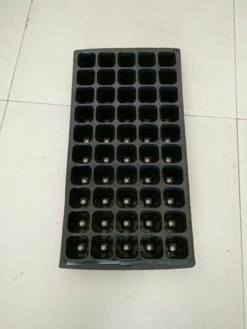 穴盘50孔