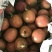 百香果5斤起包邮紫果80~90g