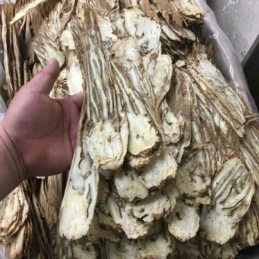 岷当归大