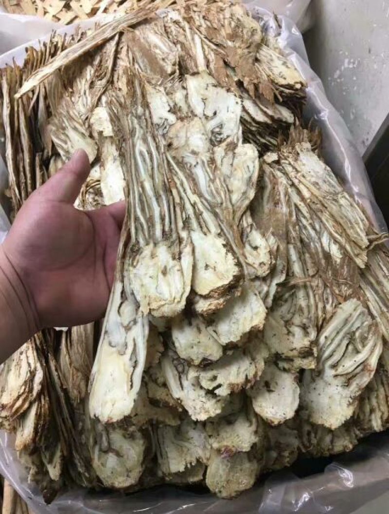 岷当归大