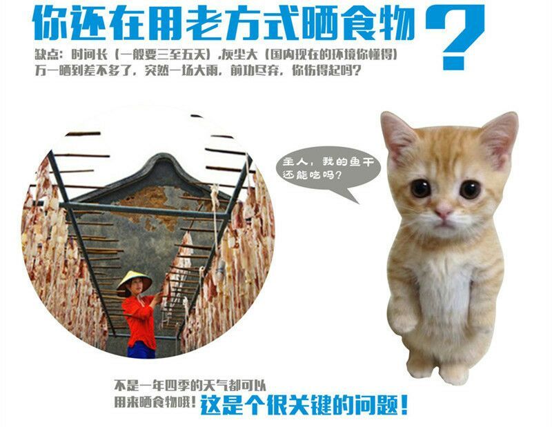 烘干机多种可用