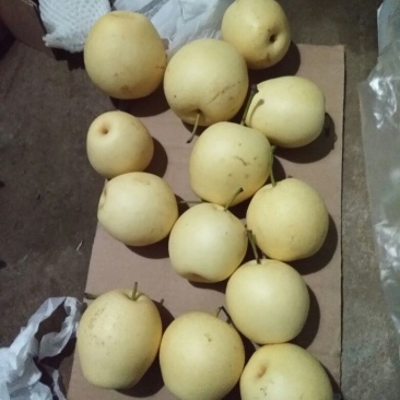冷库皇冠梨，销售难，助农销售，特价销售，低价处理