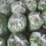线椒15~20厘米特辣青