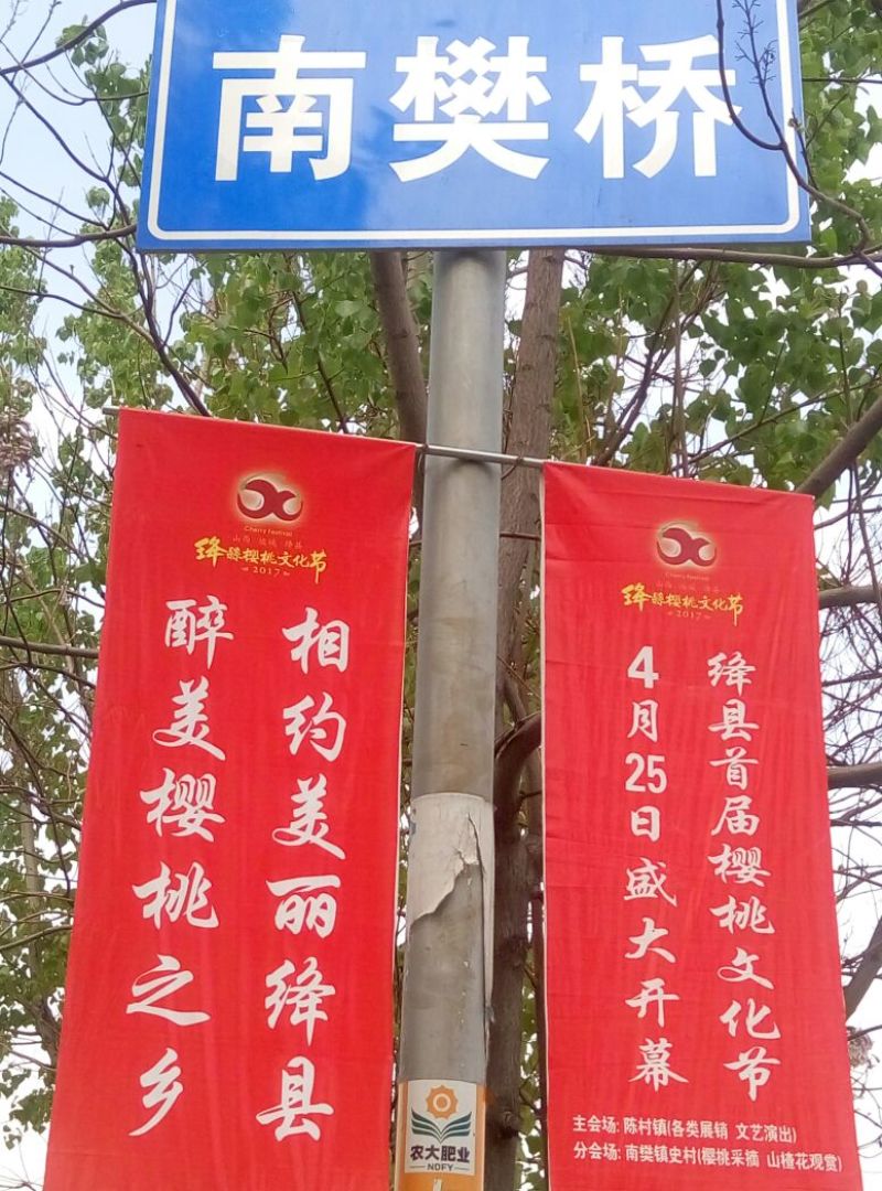 美早大樱桃20mm以上