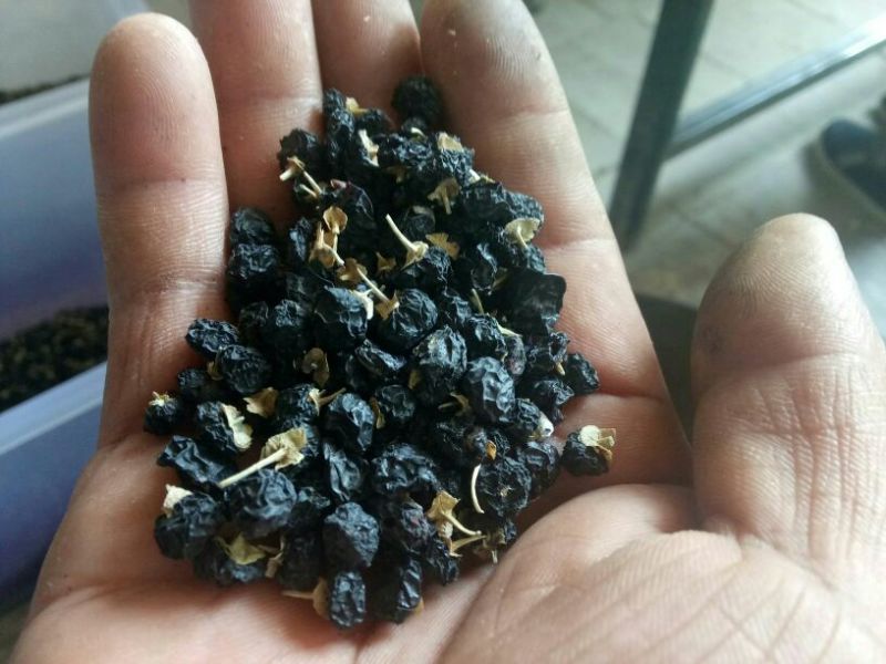 黑枸杞头茬干货