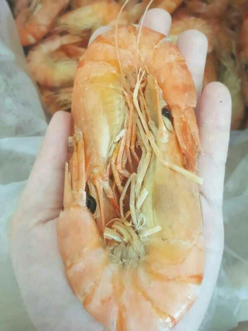 干虾