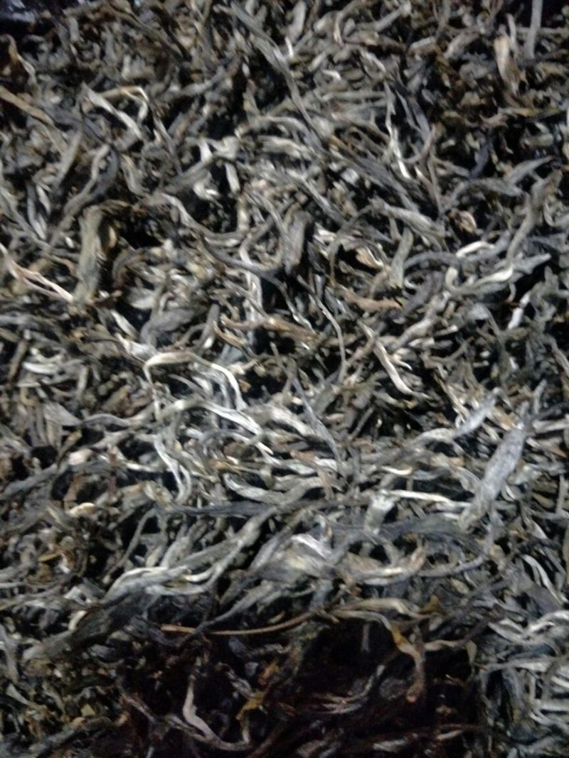 百年大树茶特级