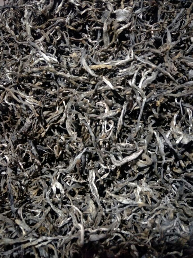 百年大树茶特级