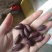黑花生米，富含花青素等元素，口感特香，脆柔，’营养丰富，