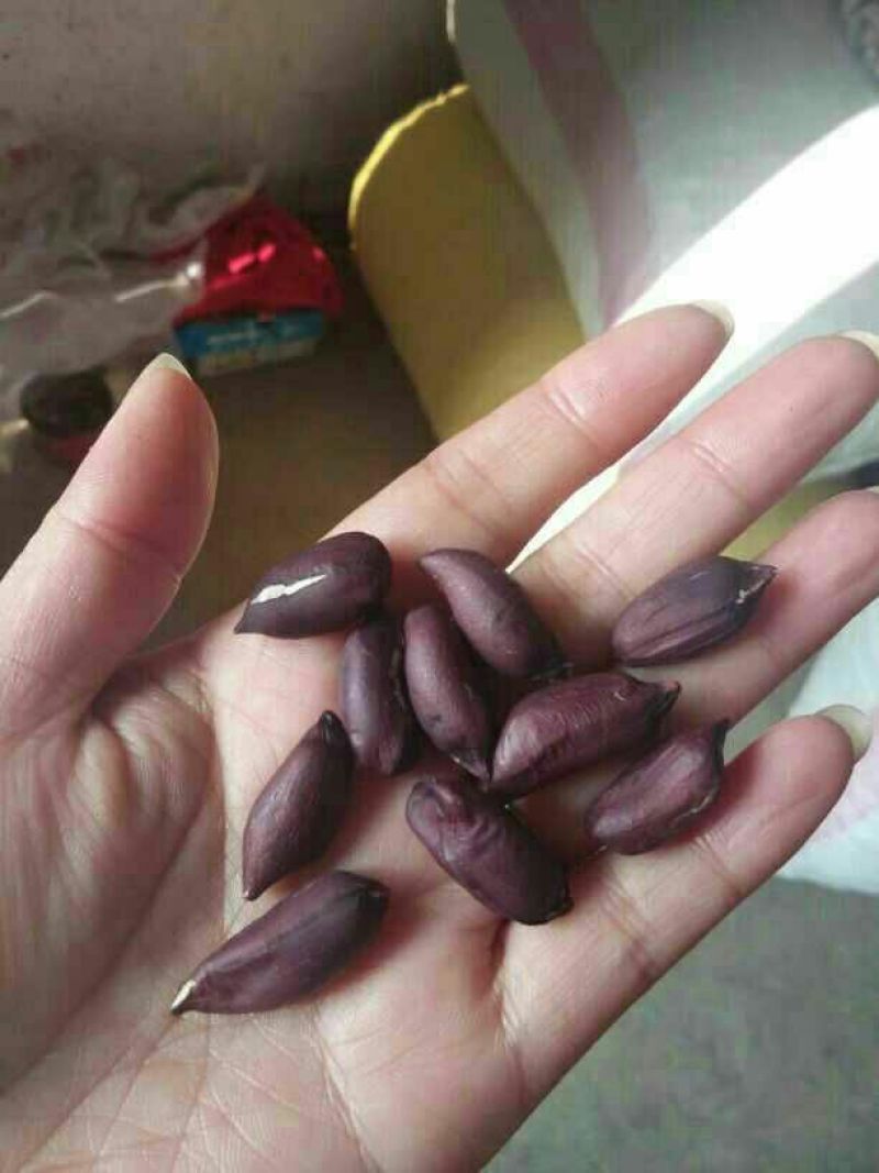 黑花生米，富含花青素等元素，口感特香，脆柔，’营养丰富，