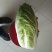 大白菜7斤以上毛菜