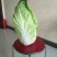 大白菜7斤以上毛菜