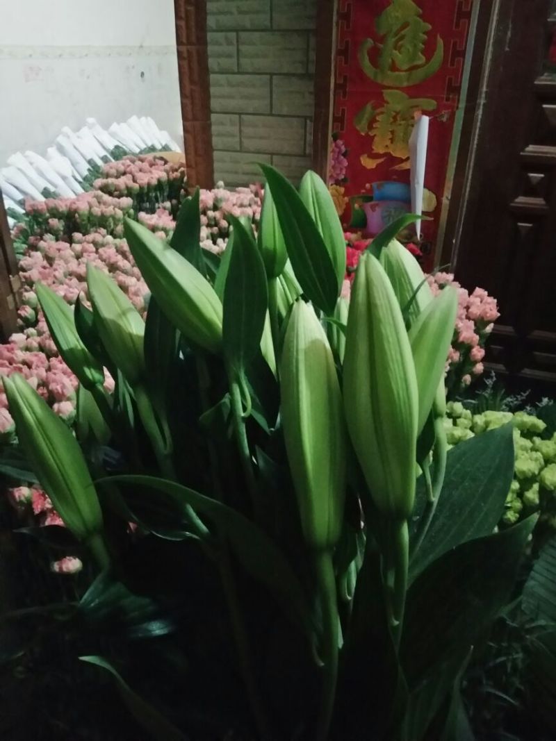 百合鲜切花3~4