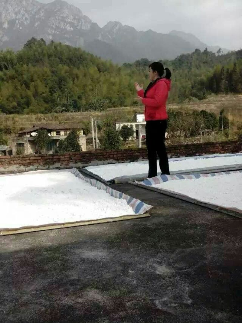 芭蕉芋淀粉散装