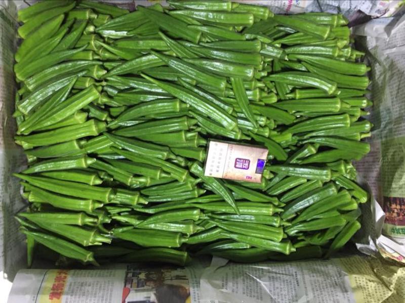 云南基地自产水果一代二代黄秋葵大量批发全国