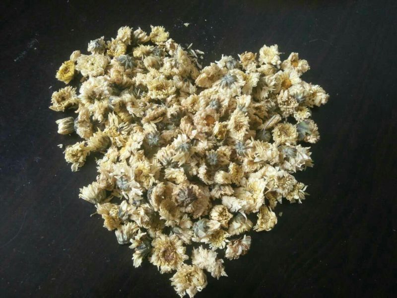 菊花茶一级