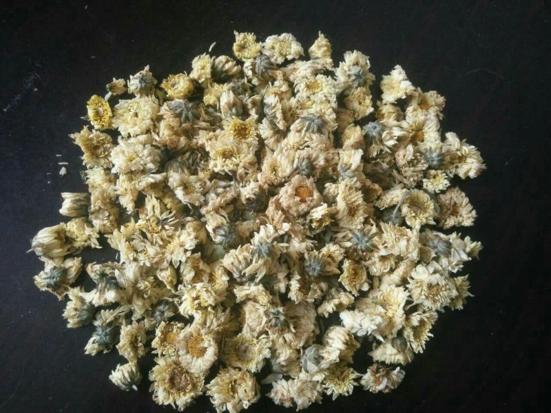 菊花茶一级