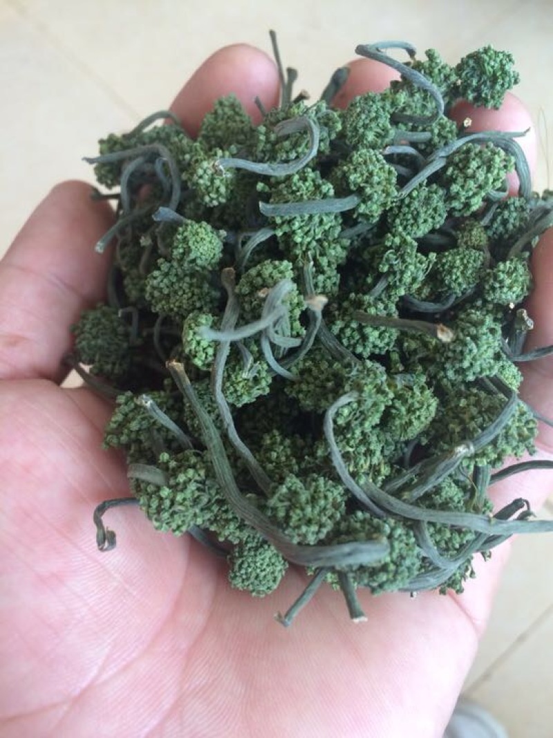 三七花