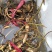 【荷花】观赏水生植物颜色艳丽质量优质品种繁多可阳台种植