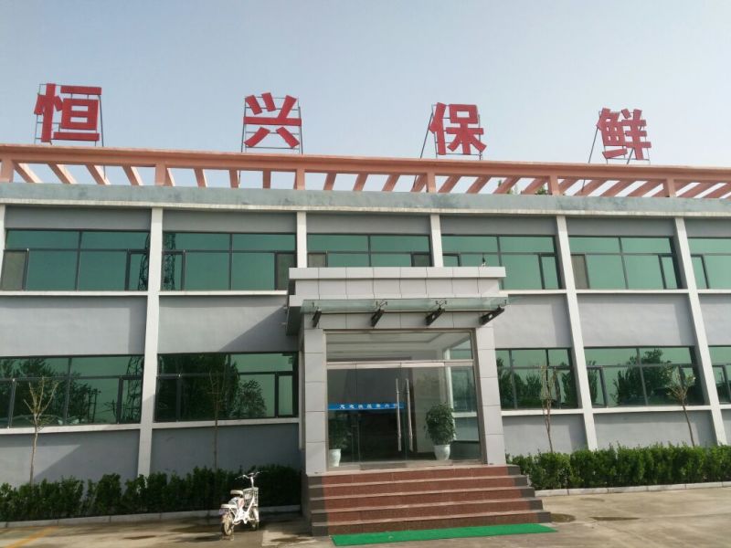 冷库400吨保鲜冷库