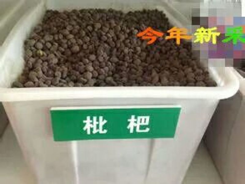 花椒种子