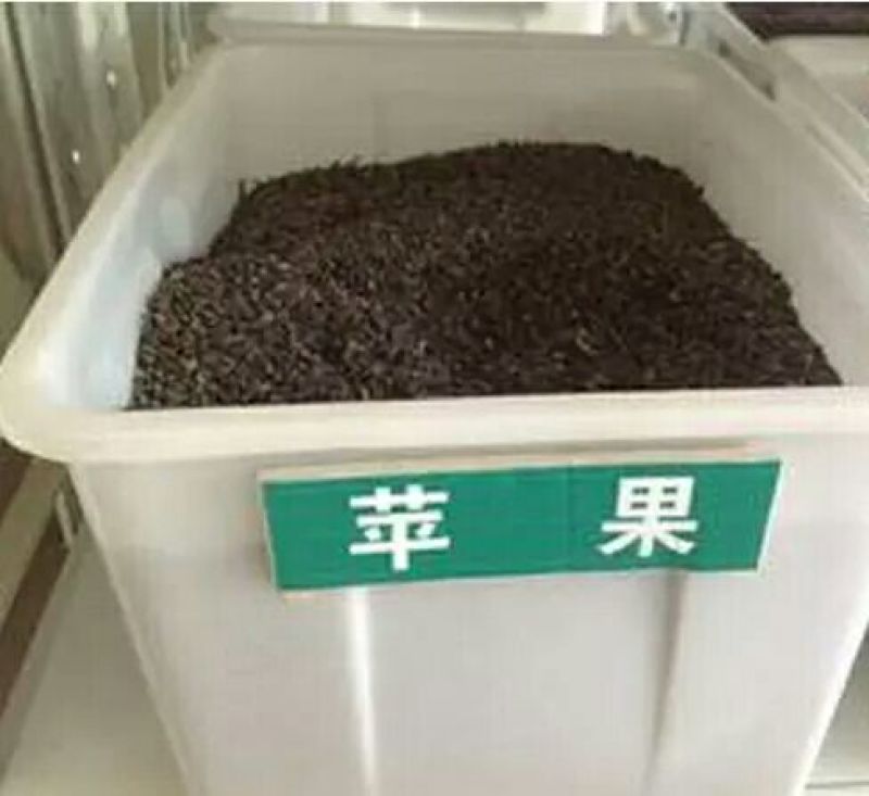 花椒种子