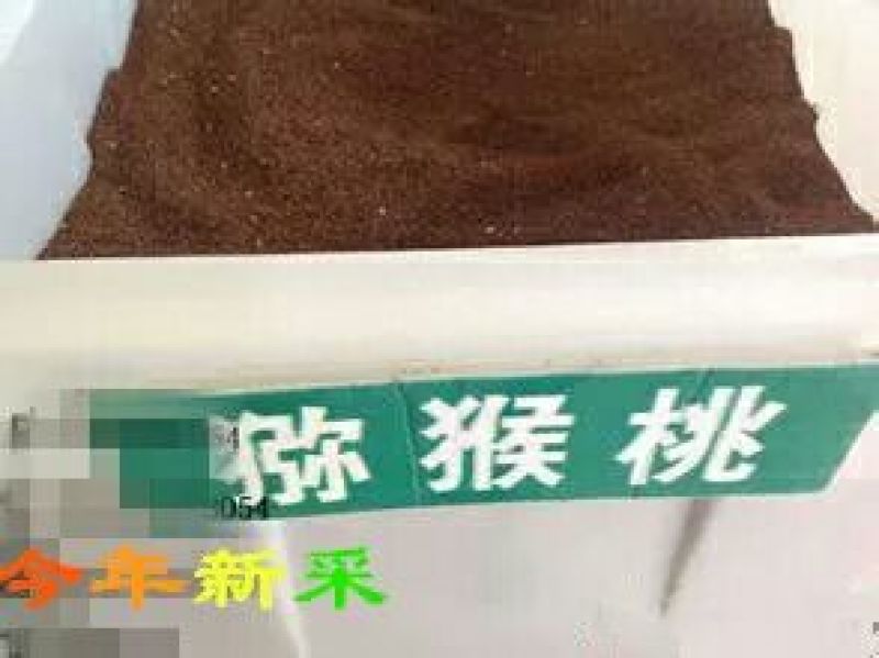 花椒种子