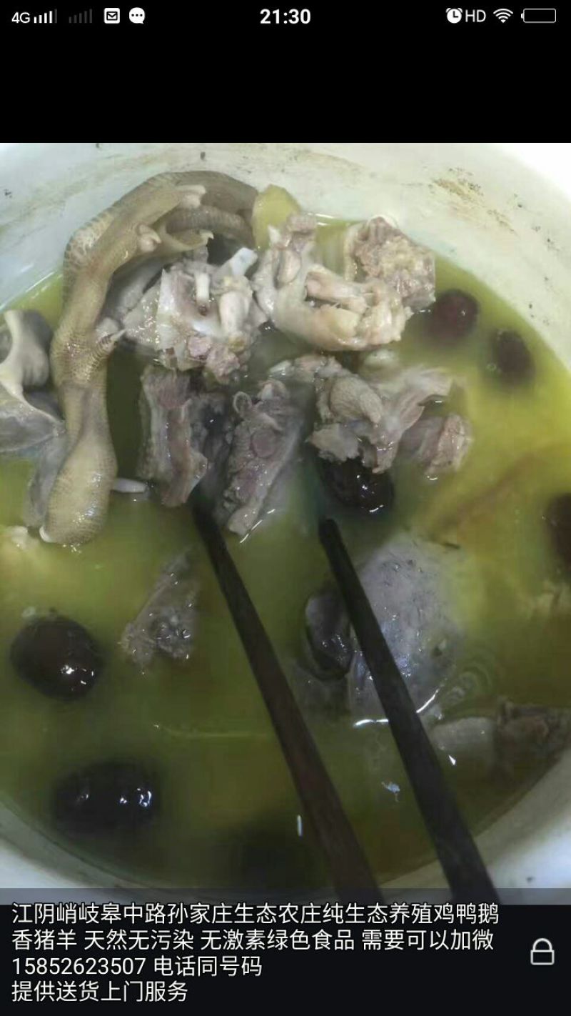 鸭肉