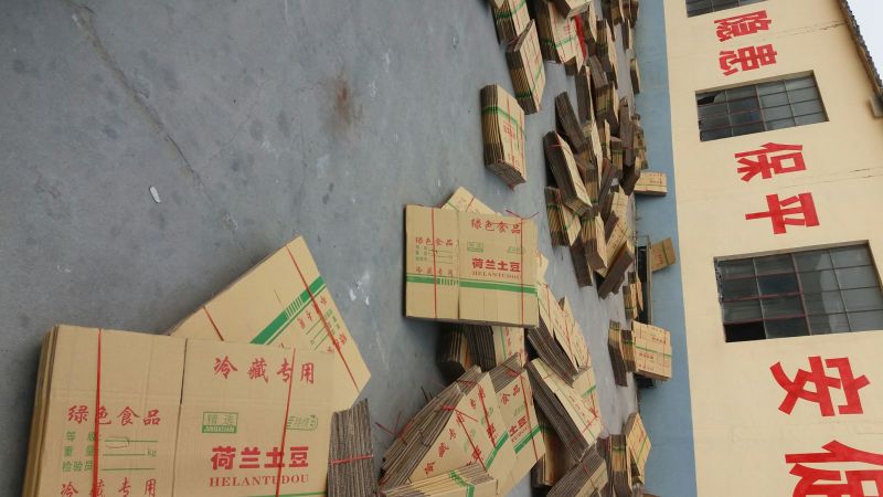 纸箱1号（530*290*370）