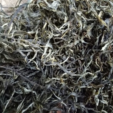 普洱茶一级