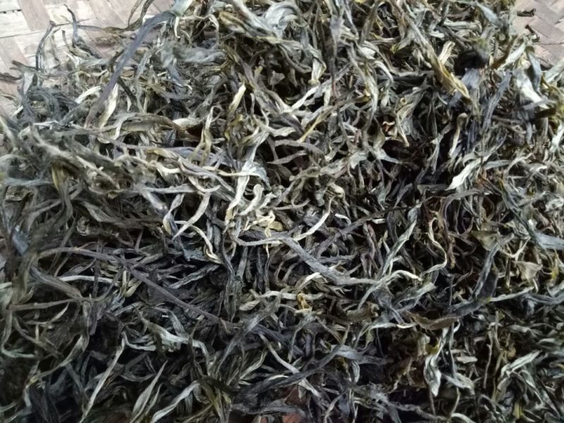普洱茶一级