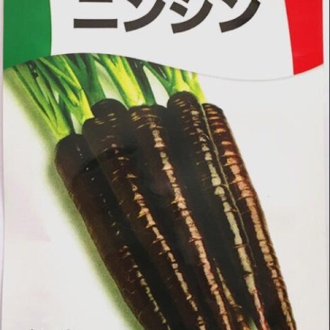 胡萝卜种子