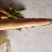 苦笋20~25cm以上
