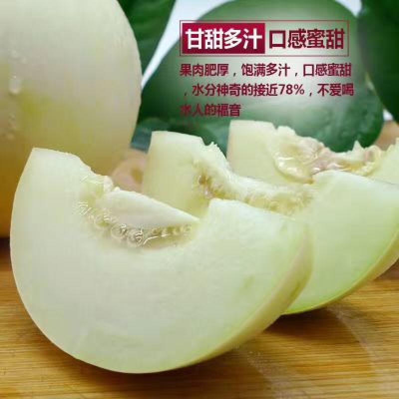 陕西甜瓜，优质甜瓜产地价格品种多质量好。